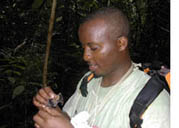 Handling a bat