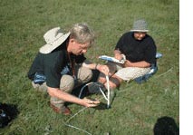 Surveying habitats